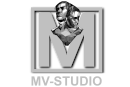 Verkkostudio